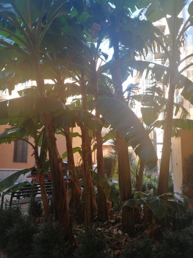 Insula Prati Holiday home